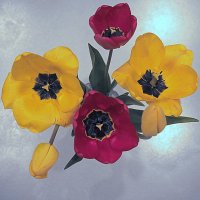 Тюльпаны мая-1 :: Юрий Велицкий