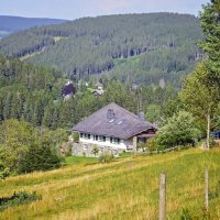 ***** :: Андроник Александр 