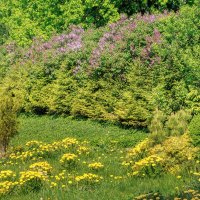 Про Питер :: Владимир Колесников