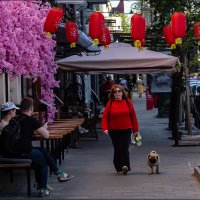 Красный :: Александр Тарноградский