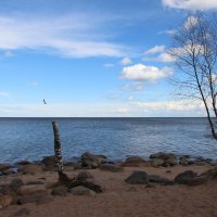 Ладожское Озеро :: Наталья Герасимова