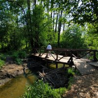 * * * :: Андрей Лукьянов * * * :: Андрей Лукьянов