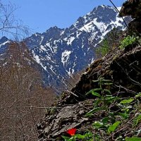 ПО ГОРАМ. :: Виктор Осипчук