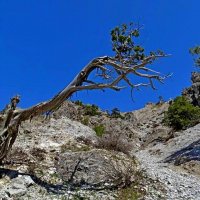 ПО ГОРАМ. :: Виктор Осипчук