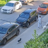 На утренней прогулке :: Валерий Иванович