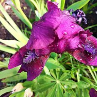 Дождь закончился! :: Любовь Сахарова