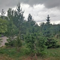 Время мая :: Андрей Хлопонин Время мая :: Андрей Хлопонин