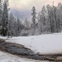 Линдуловская роща :: skijumper Иванов