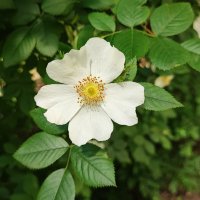 ,,, :: Сергей Тимоновский