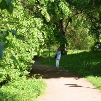 В парке :: Oleg4618 Шутченко В парке :: Oleg4618 Шутченко