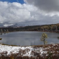 *** :: владимир 