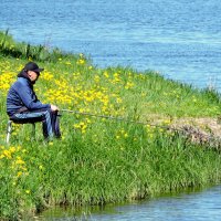 Среди одуванчиков... :: Мария Васильева Среди одуванчиков... :: Мария Васильева