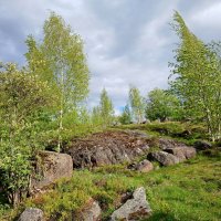 Выборгский парк Культуры и Отдыха на Батарейной горе. :: Лия ☼