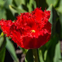 *** :: Дмитрий Лупандин