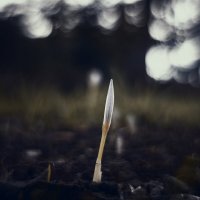 Явление таинств осенних. :: Анатолий Щербак