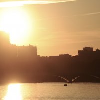 *** :: Сергей Сергеев