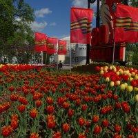 В Нижнем Новгороде :: svk *