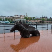 Новая набережная Выборга. :: Ольга 