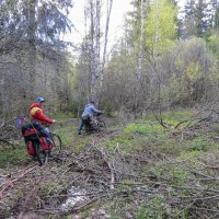 Из Рузы напрямки на Дубосеково :: Сергей Цветков