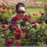 В окружении цветов! :: Нина Андронова