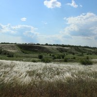 Ковыль. :: Виктор 