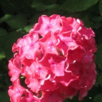 Красота! :: Дмитрий Никитин