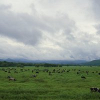 Пейзаж :: Эдуард Куклин Пейзаж :: Эдуард Куклин