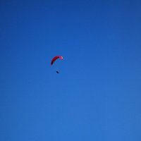 . :: Александр Хоменко