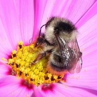 Трапеза :: Oleg4618 Шутченко Трапеза :: Oleg4618 Шутченко