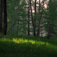 * :: Александр Иванов