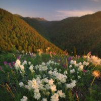 * :: Александр Иванов