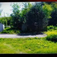 Гараж, в зелени. :: Игорь Солдаткин