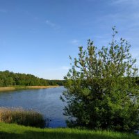 Июль в мае :: Андрей Лукьянов