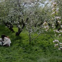 все в белом... :: Галина R...