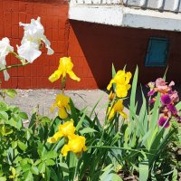 ,,, :: Сергей Тимоновский