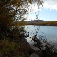 Слияние двух рек Ингоды и Читинки :: Екатерина Панова