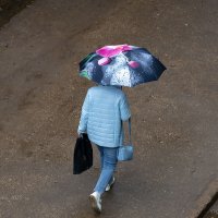 Идущая под зонтом :: Александр Синдерёв