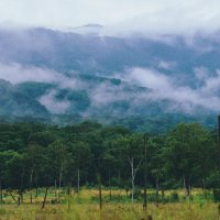 Пейзаж :: Эдуард Куклин