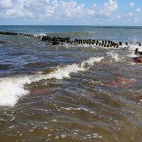 ~ ~ ~ :: Алёна Савина