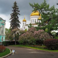 Уголок Москвы :: юрий поляков