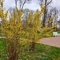 Апрель в Александрии. :: Лия ☼ Апрель в Александрии. :: Лия ☼