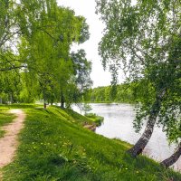 ***** :: юрий поляков