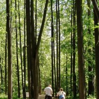 Велосипедная прогулка :: Валерий Судачок