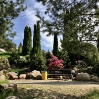 Красивый уголок на районе. :: Любовь 