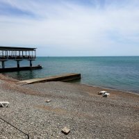 СКОРО ЛЕТО :: Tata Wolf