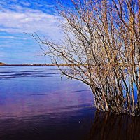 Май...Юганская Обь разлилась! :: Владимир 