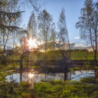 Вечернее солнце :: Сергей Цветков