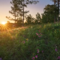 * :: Александр Иванов