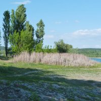 Природа  Крыма :: Валентин Семчишин