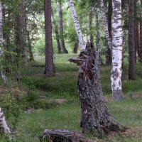 Берендеево царство :: Георгиевич 